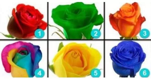 Choose A Rose And Discover Your Next Great Love!
